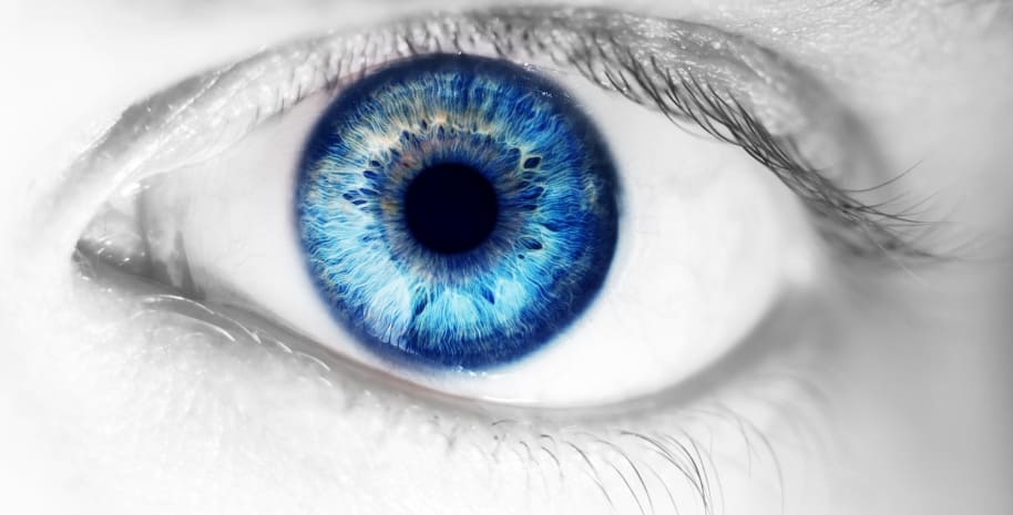 anglisky-po-pesniam-behind-blue-eyes